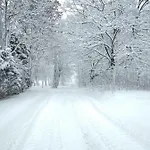 Stajnia *