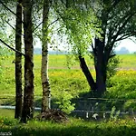 Stajnia *
