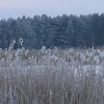 Stajnia Lisewo