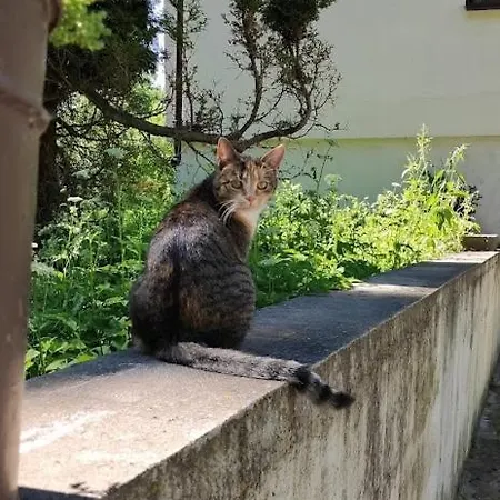 Stajnia *