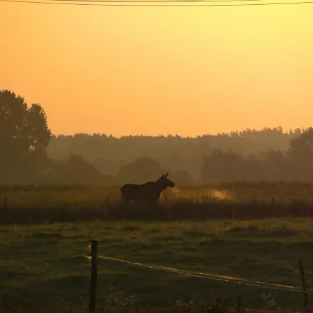 Stajnia Gospodarstwo agroturystyczne Lisewo