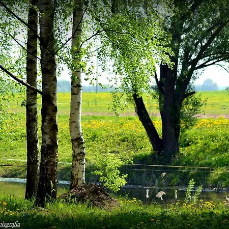 Stajnia *